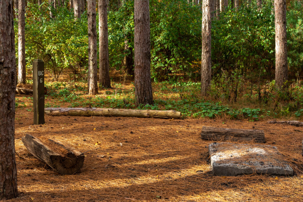 Sand Ridge State Forest