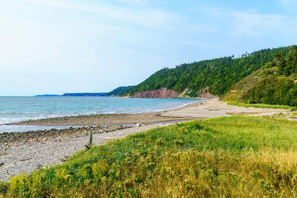 Fundy National Park