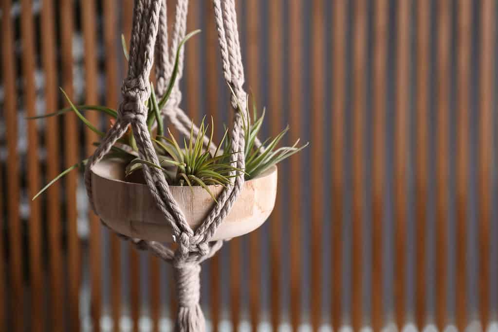 Macrame hanging pot holder