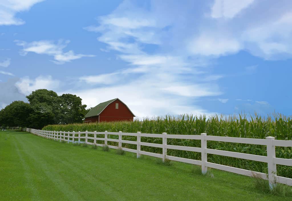 Fence and Corn field with barn in background-Owen County, Indiana