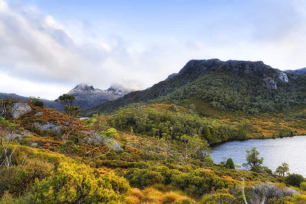 Cradle Mountain-Lake St Clair National Park