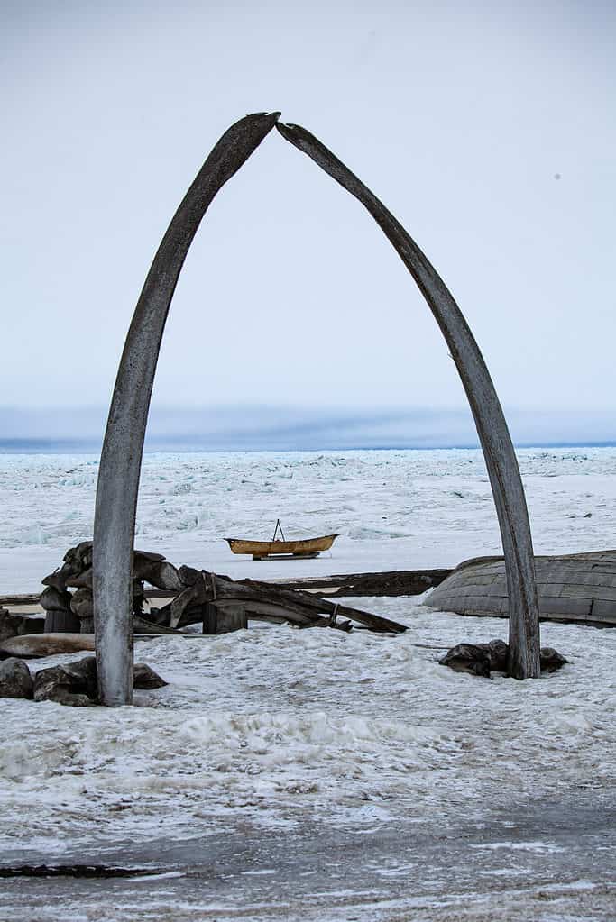 Whale Bones in Utqiagvik, Alaska