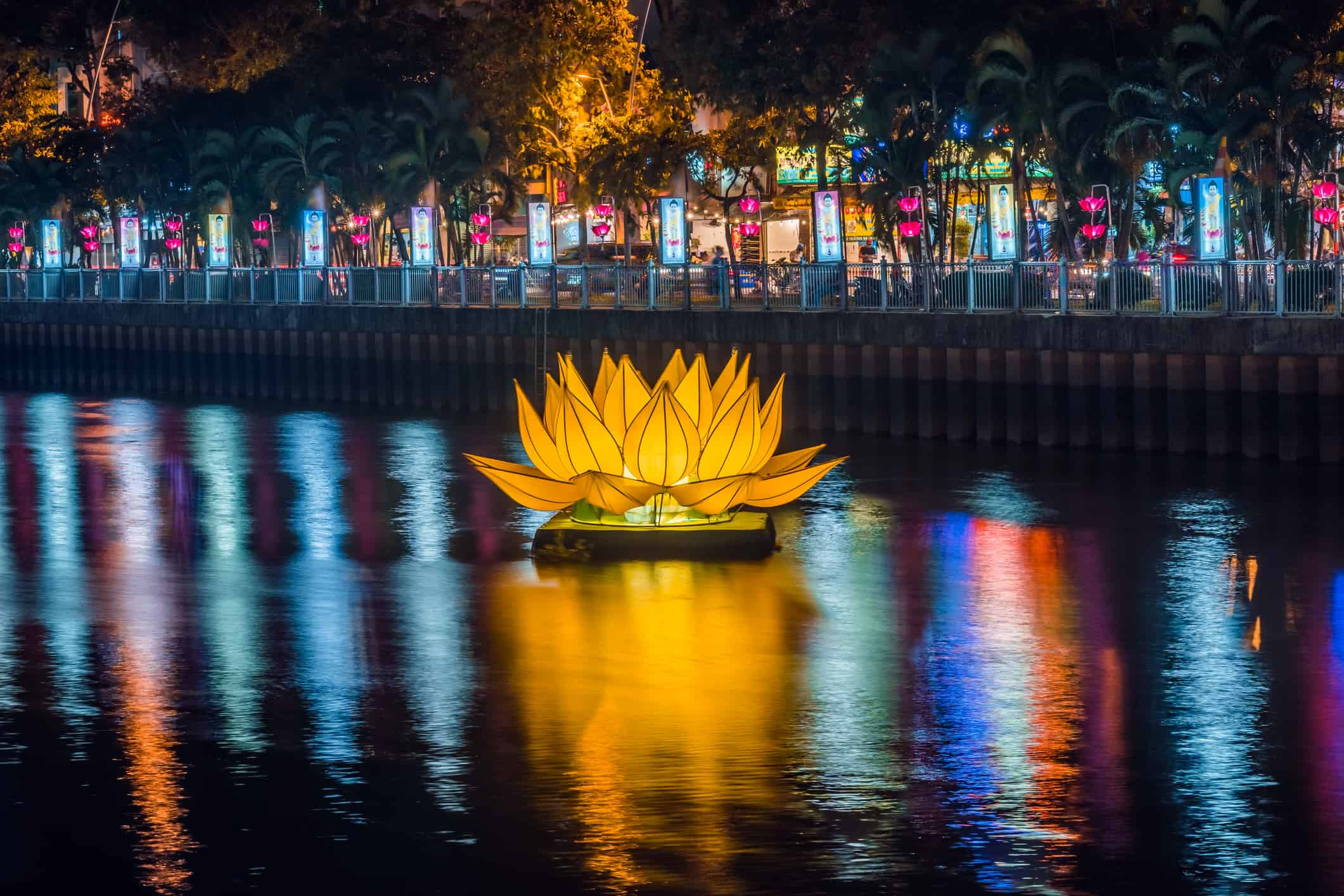 Floating colored lotus lanterns