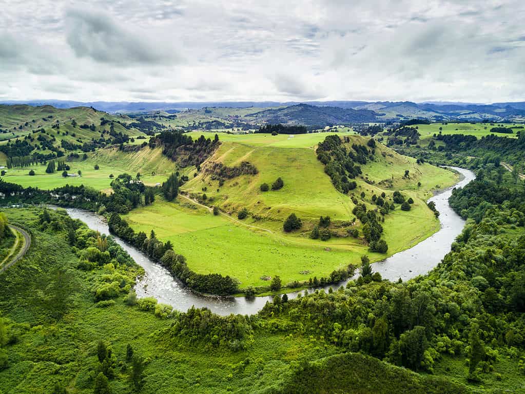 Whanganui National Park