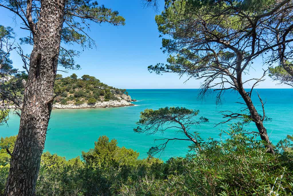 Gargano National Park