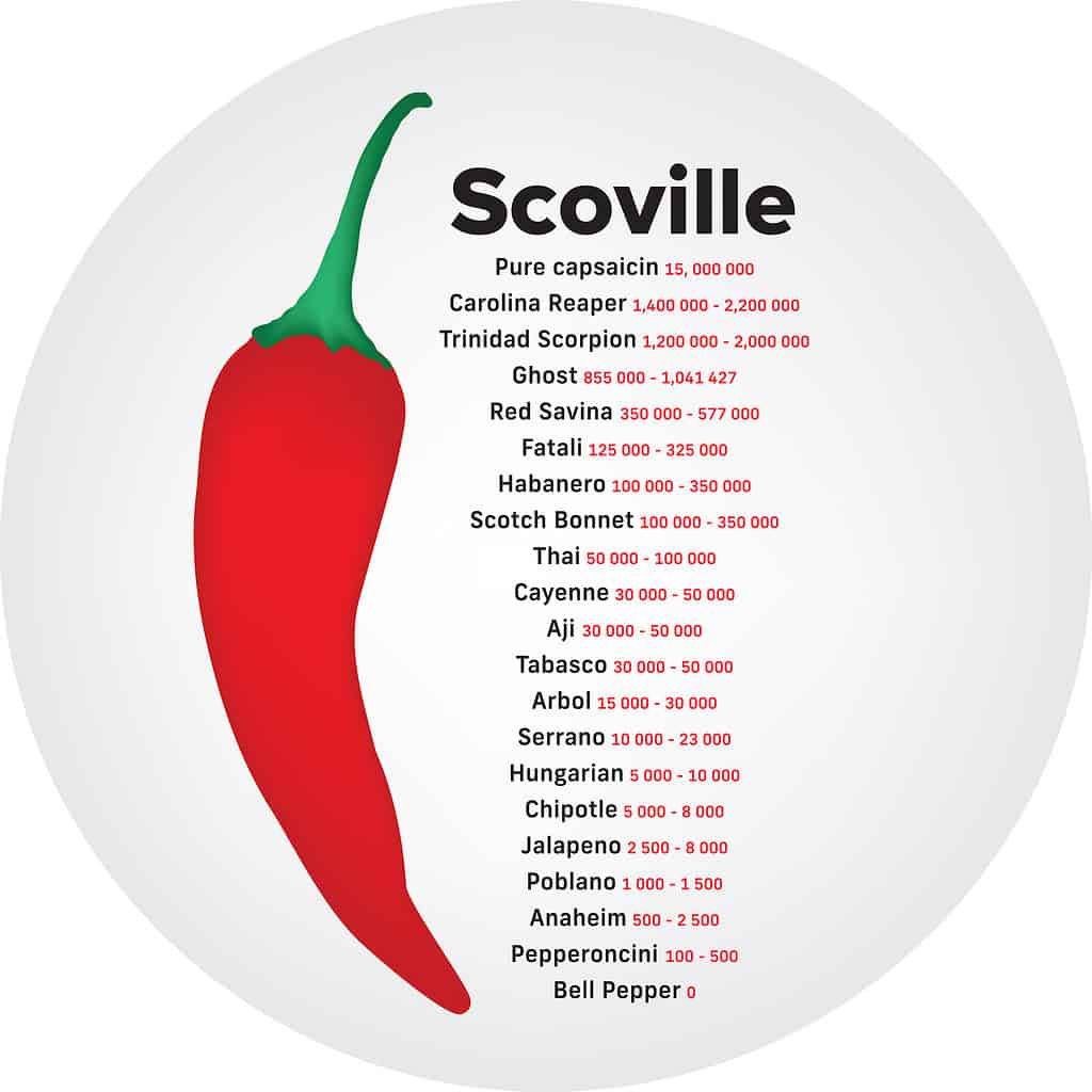 Scoville hot pepper heat unit scale