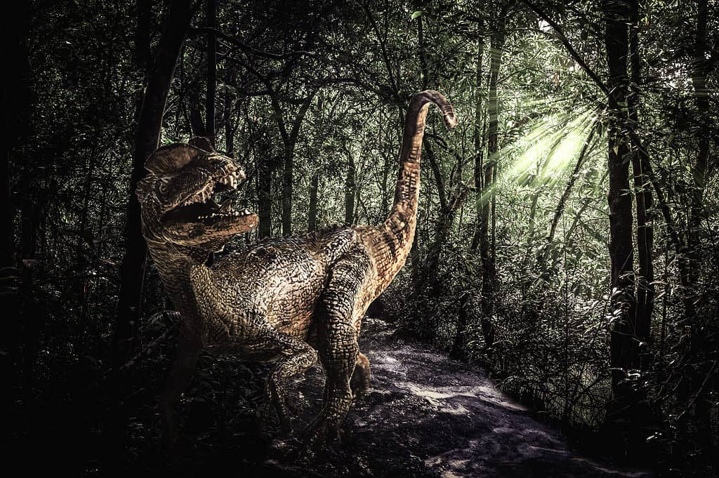 Dilophosaurus, Dinosaur, Rainforest, Ancient, Animal