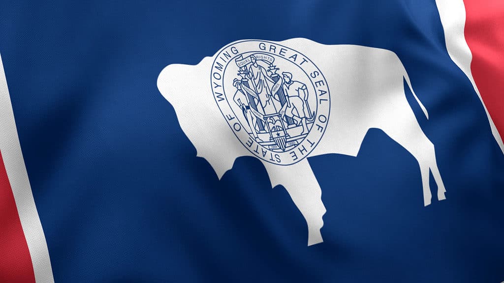 A closeup of the state flag of Wyoming