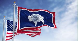 The Flag of Wyoming: History, Meaning, and Symbolism Picture