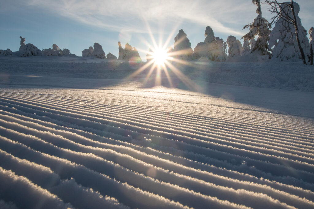 Ski slopes with the sun rising behind the trees