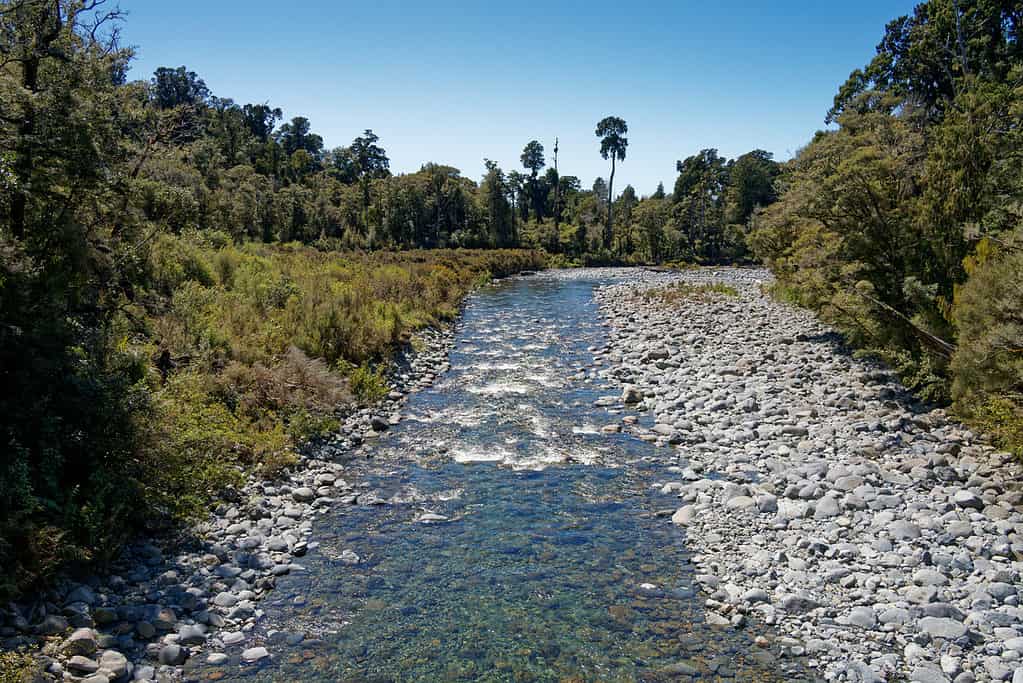 Kahurangi National Park