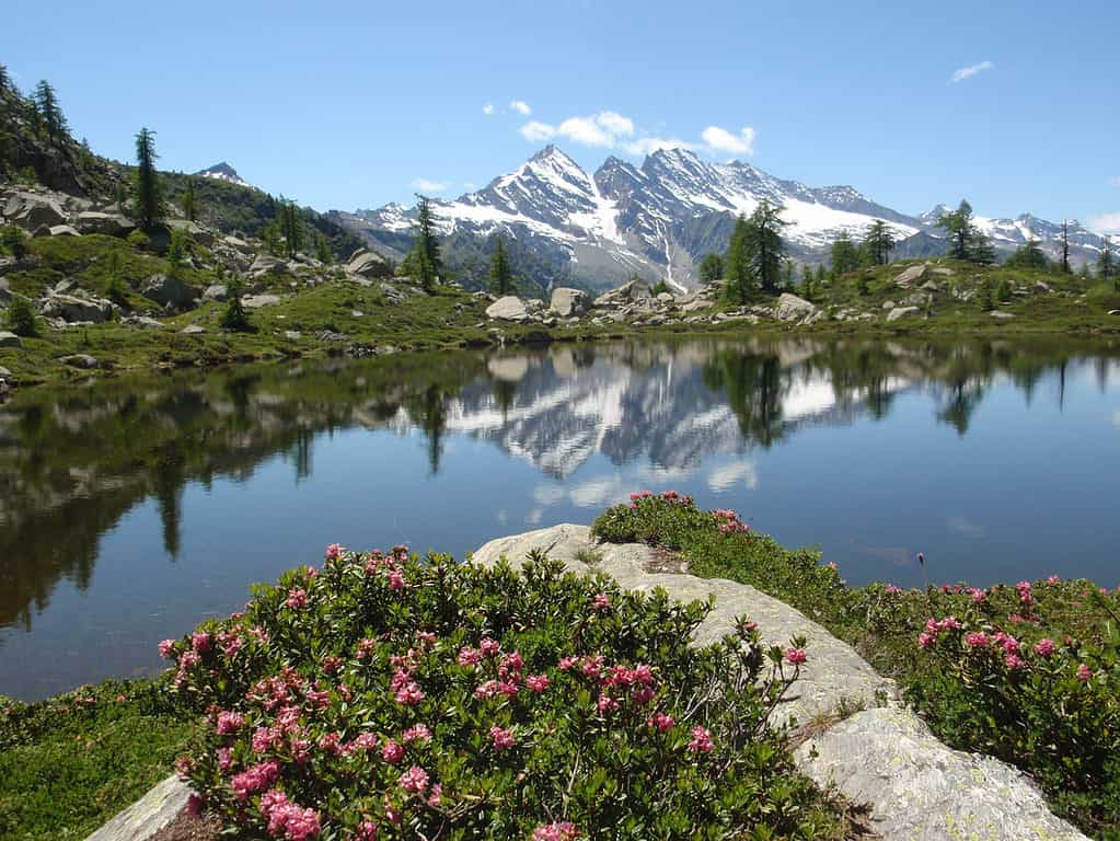 Gran Paradiso National Park