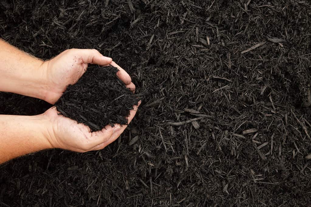 Dark wood bark mulch