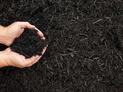 A 16 Reasons to Buy Organic Mulch For Your Yard
