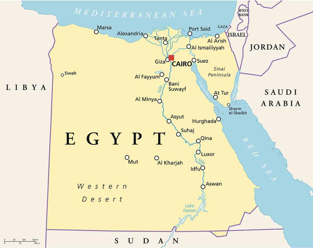 Egypt is bordered by Israel, Palestine's Gaza Strip, Sudan, and Libya.