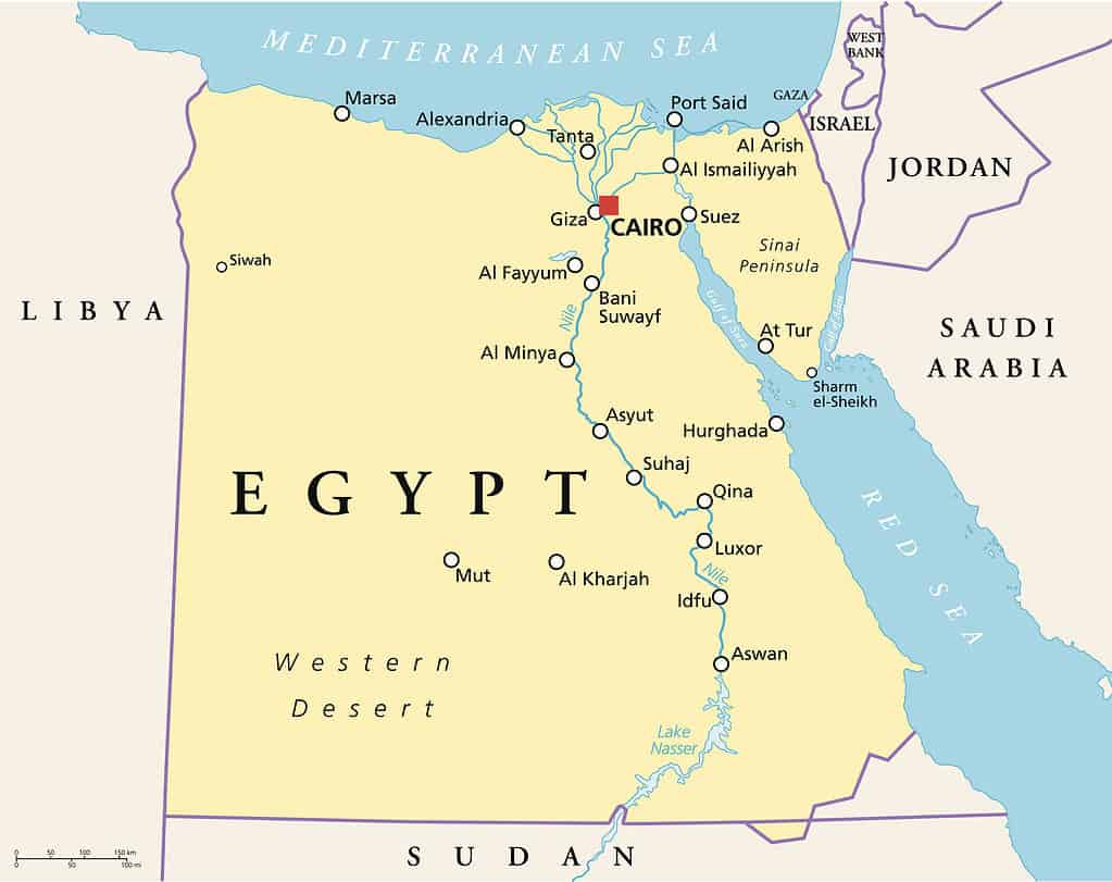 discover-the-4-countries-that-border-egypt-az-animals