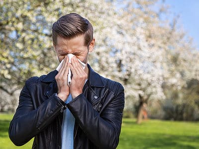 A Allergies In Philadelphia: Everything To Know