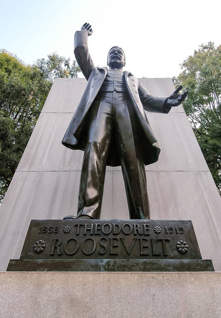 Statue on Theodore Roosevelt Island
