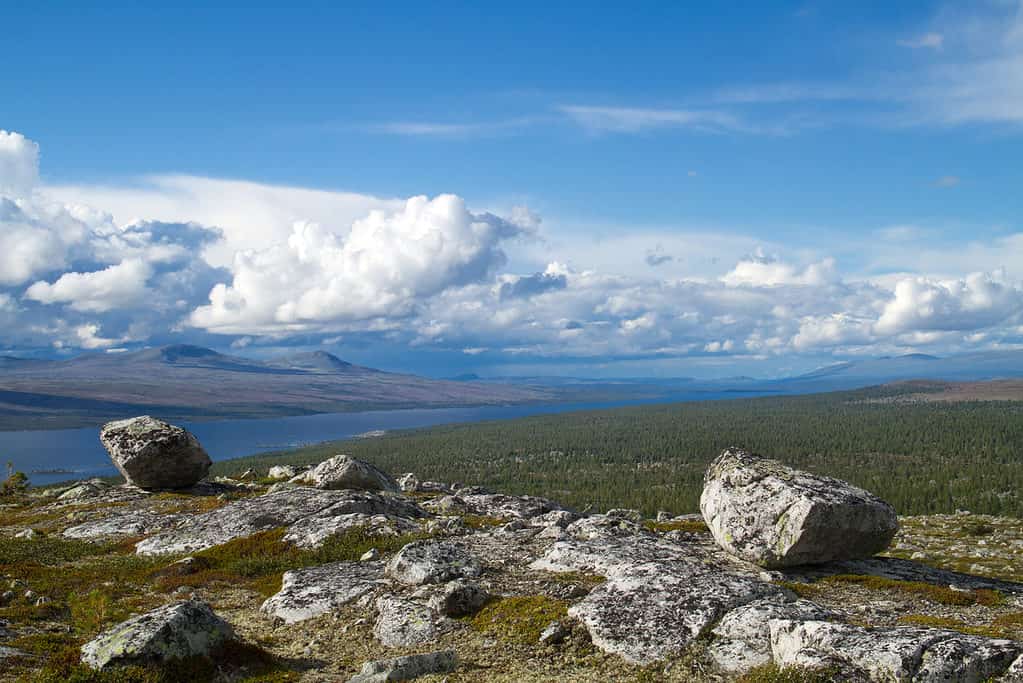 Femundsmarka National Park