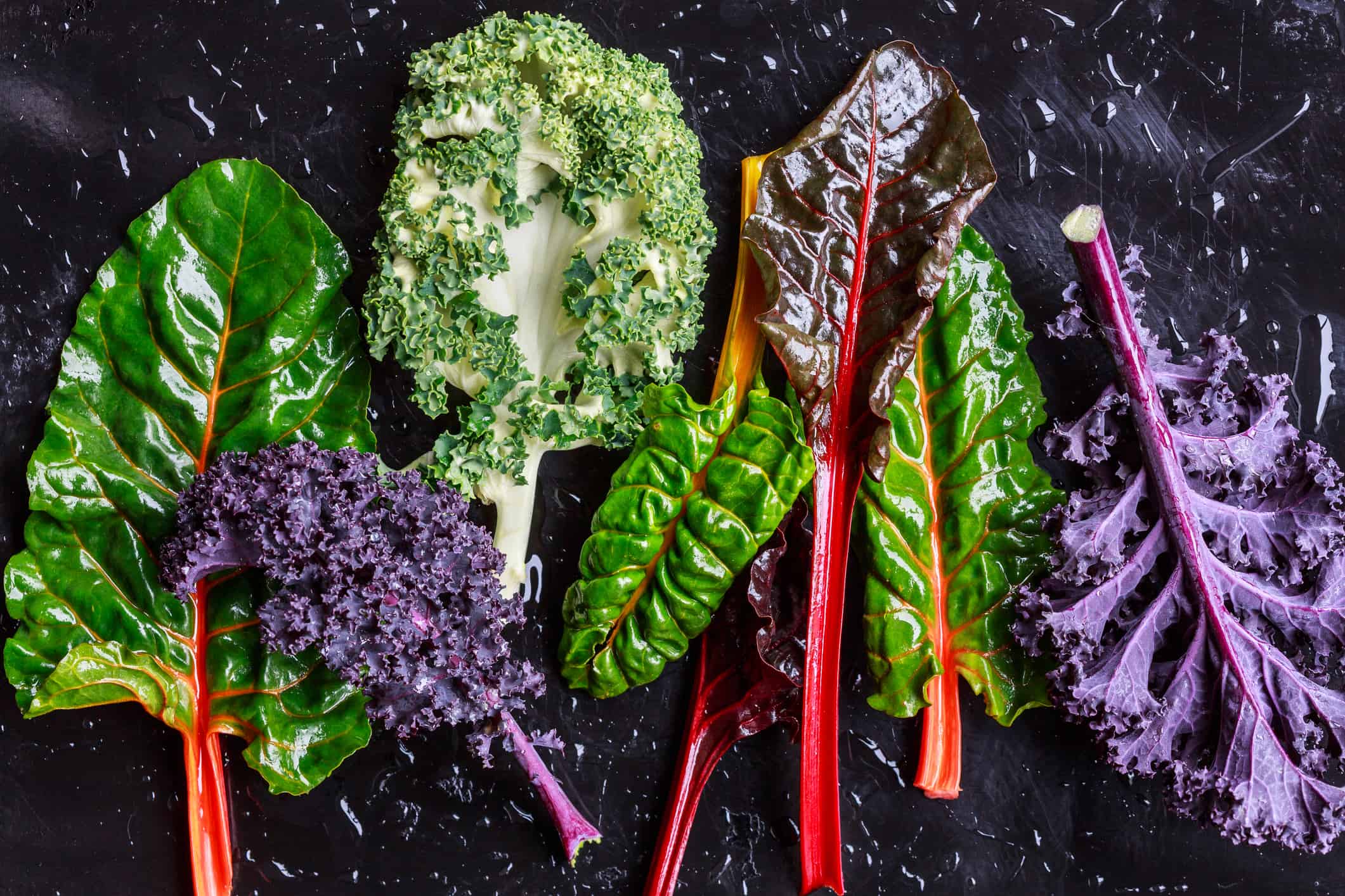 Purple kale with orange, red, and white Swiss chard