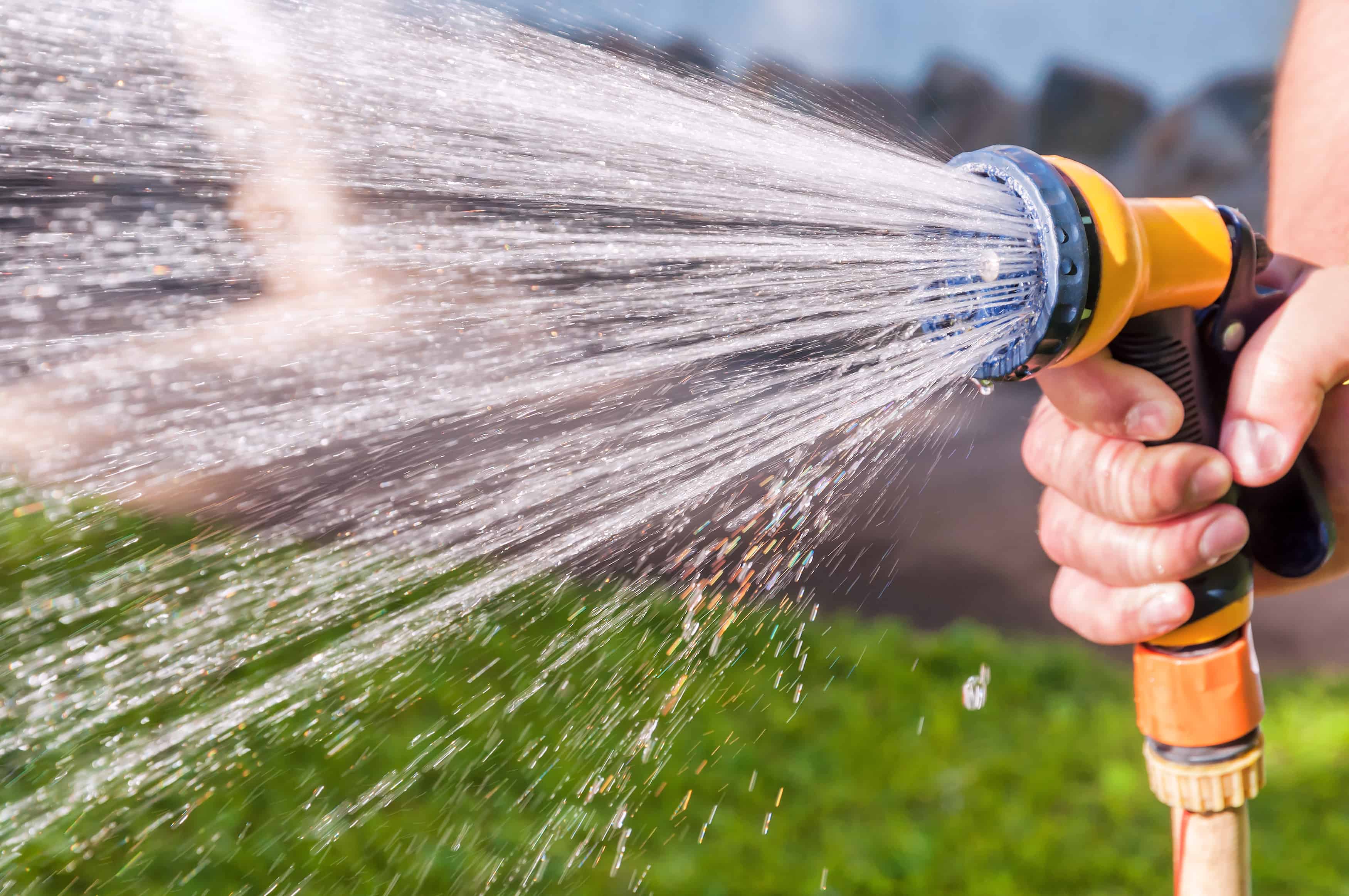 How Often Do You Water New Sod 11 Critical Tips For A Thriving Lawn How Often Do You Water New Sod 11 Critical Tips For A Thriving Lawn