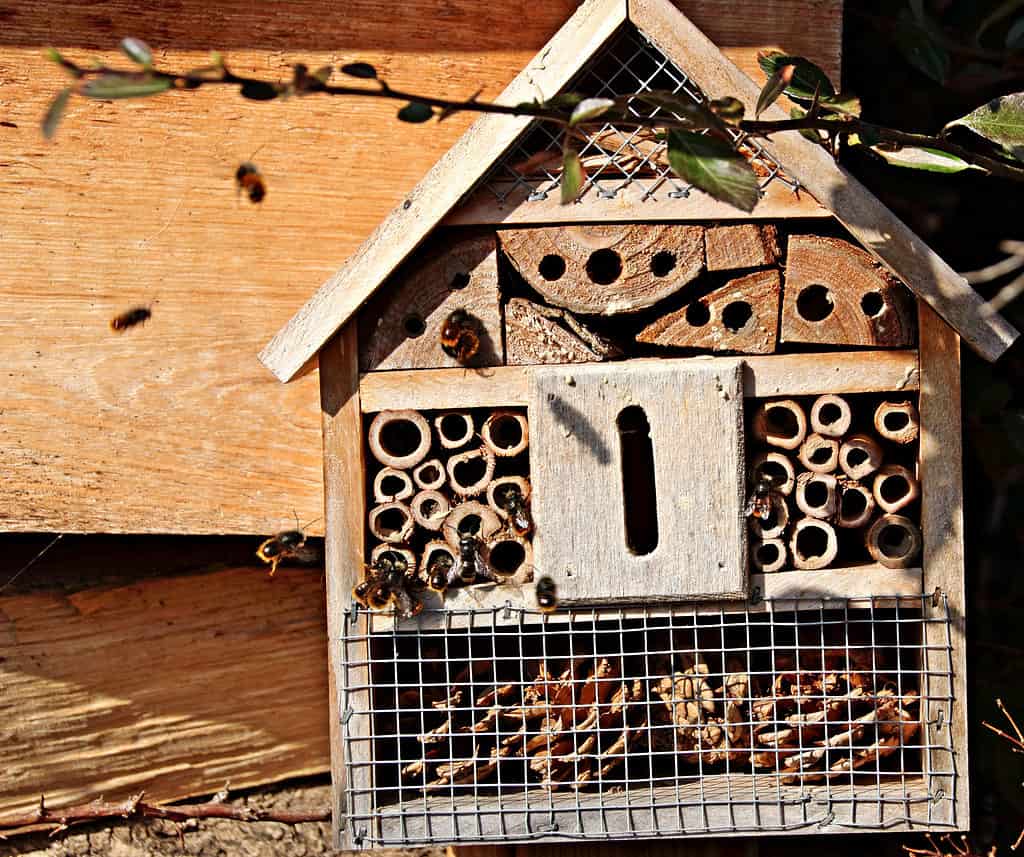 Bee hotel