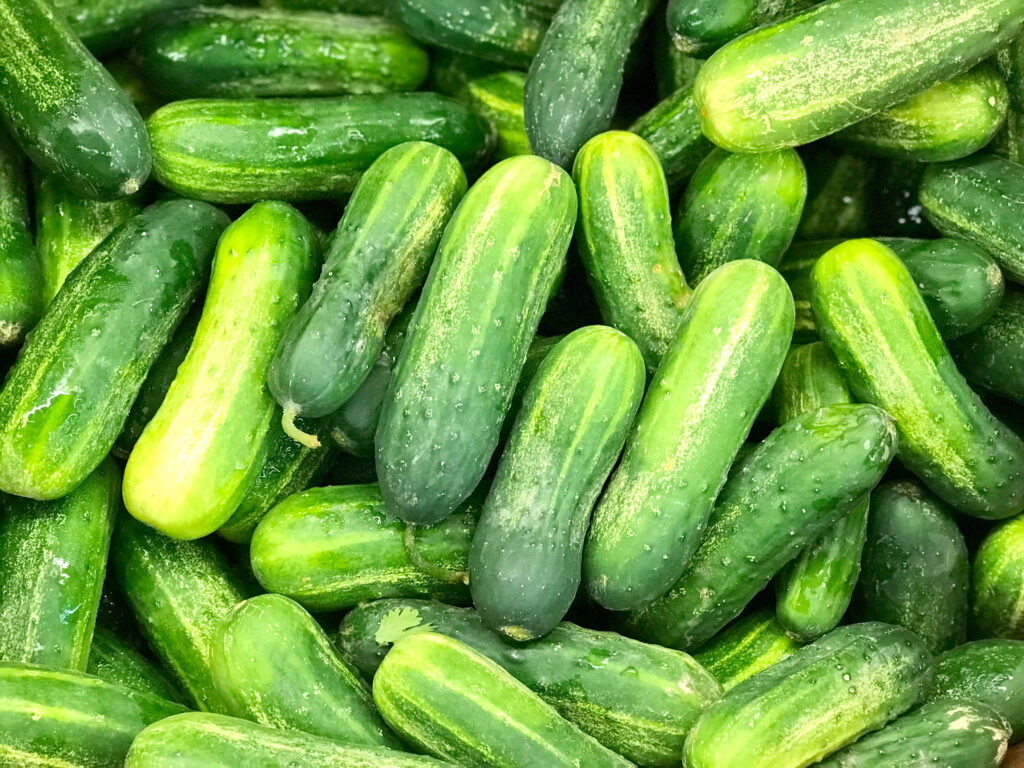 Kirby Cucumbers - Types of Cucumbers