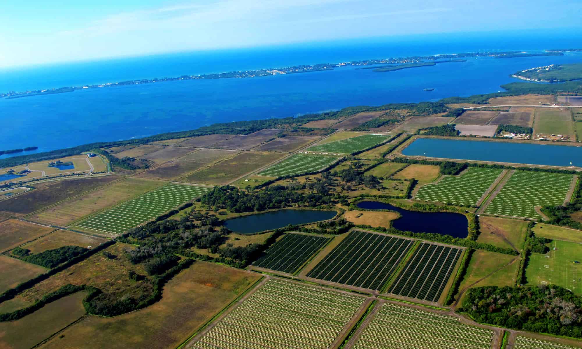 Florida agricultural 