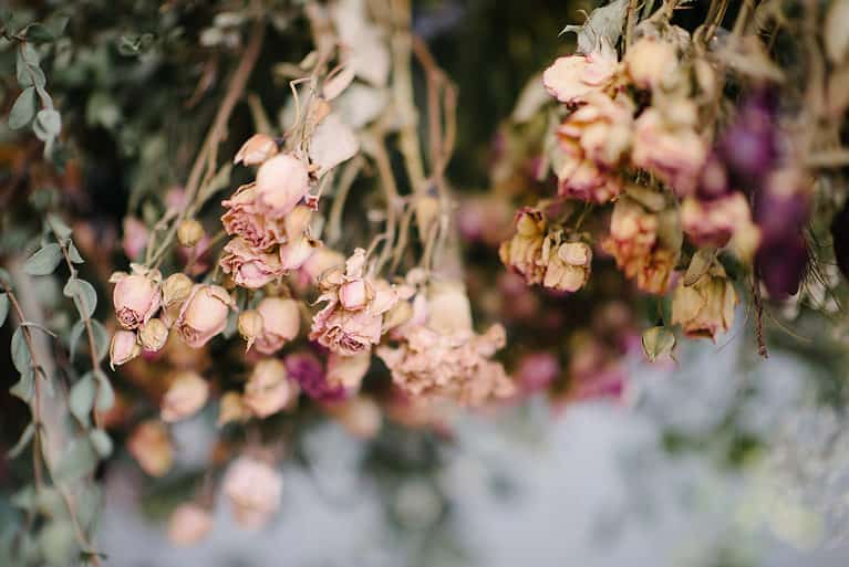 How To Dry Roses AZ Animals