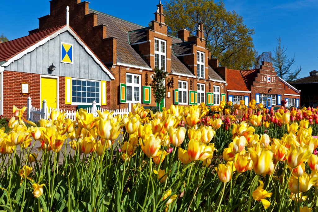 những con đường hoa tulip tại Windmill Island Village ở Holland Michigan.  Hoa tulip có rất nhiều trong Lễ hội hoa Tulip hàng năm.  Di sản của Hà Lan được trưng bày khắp các khu vườn.