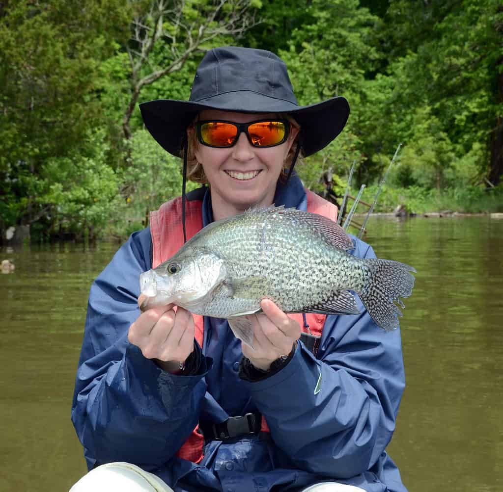 black crappie