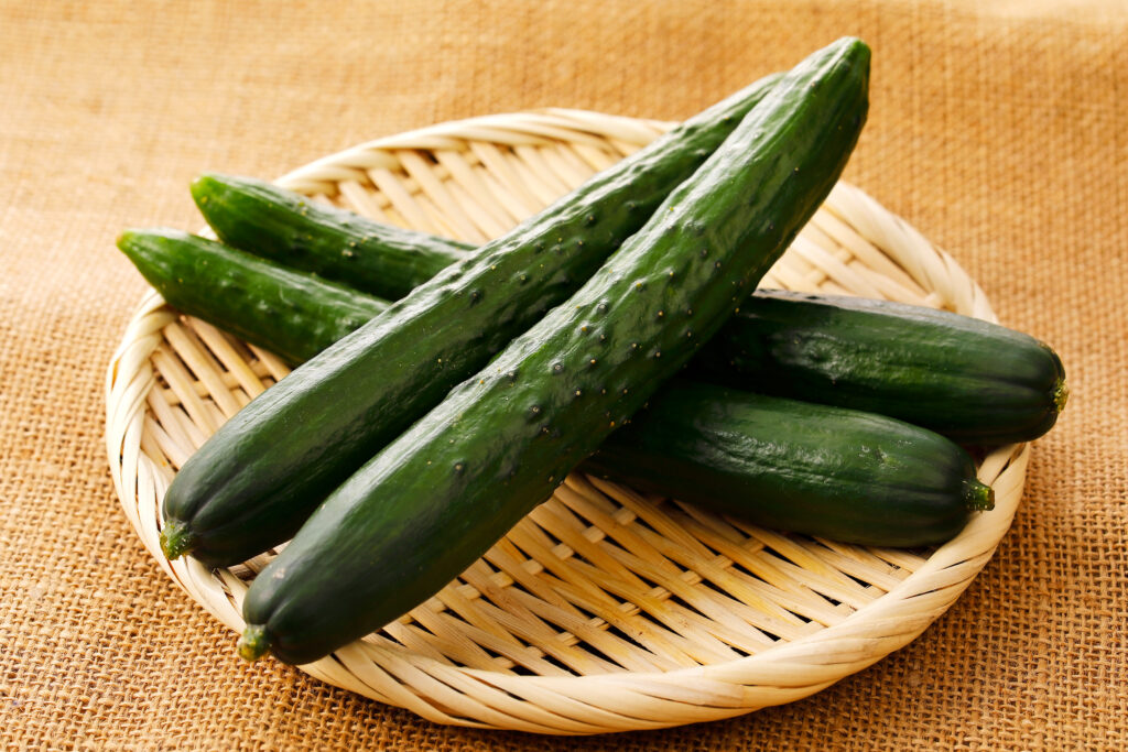 Japanese Cucumber - Types of Cucumbers