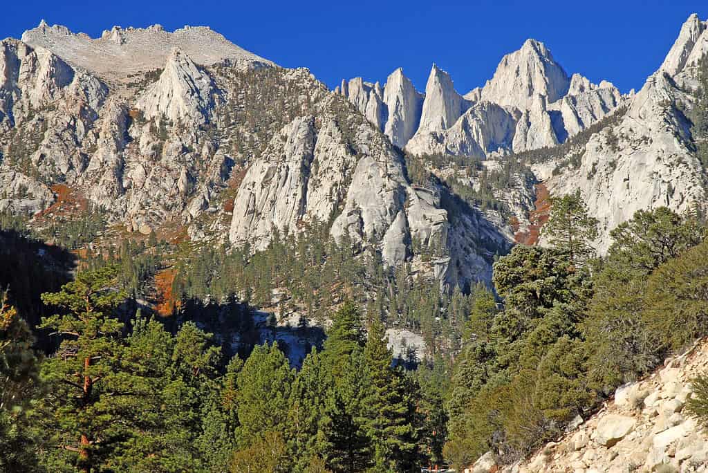 Mt. Whitney is the highest peak in the contiguous United States.
