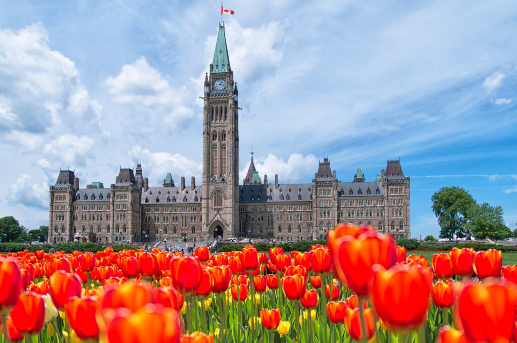 Field of red and yellow tulips near the Canadian Parliament building - Canadian Tulip Festival