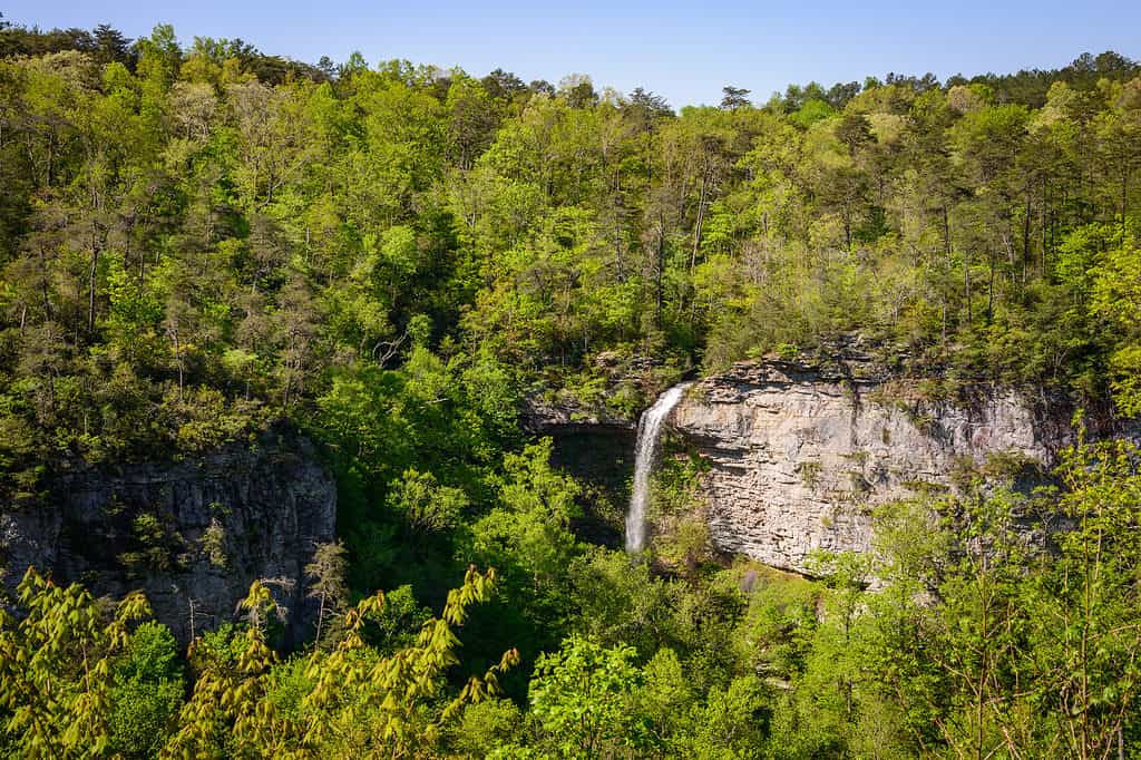 Grace's High Falls in Alabama