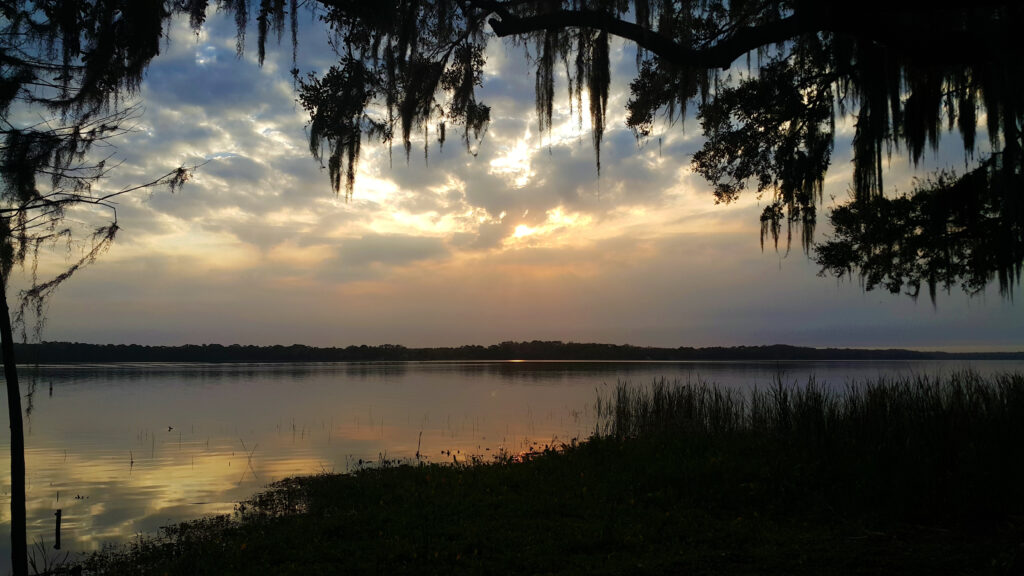 Lake Tarpon features some of the best bass fishing in western Florida.