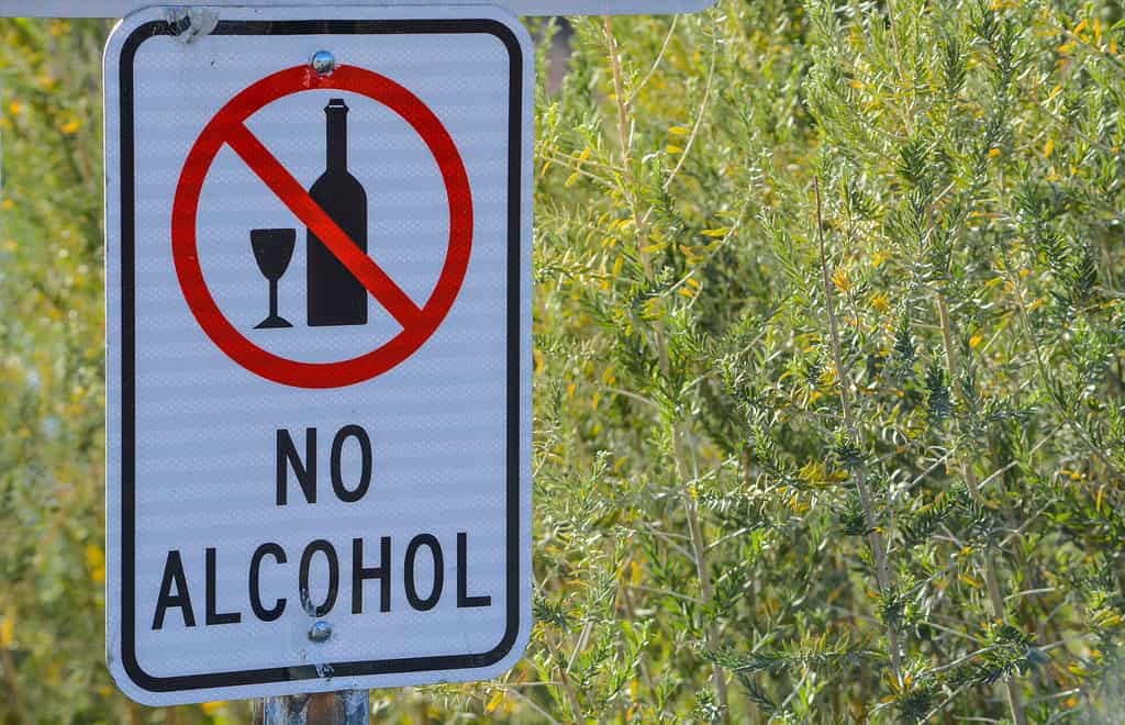 Photograph of a white sign on which there is at the top a black wine bottle next to a black wine glass with a red null sign over it. Below that graphic are the words NO ALCOHOL  in black. The sign is in the left frame and the background is green vegetation.