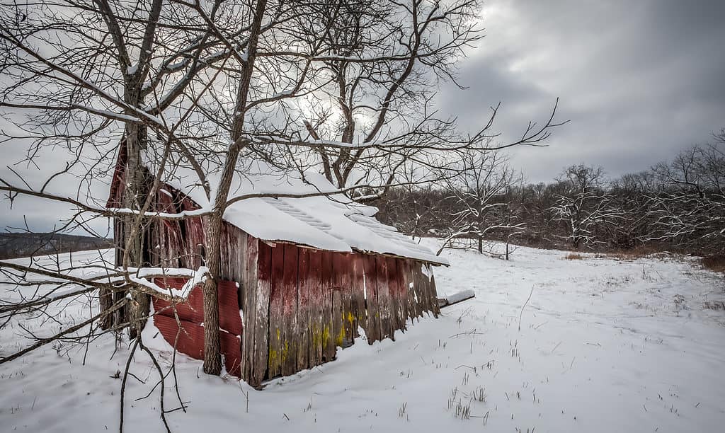 Ozark, Missouri, Snow Scene - Coldest Temperature Recorded in Missouri