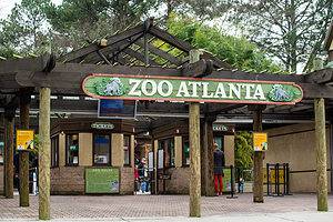 Zoo Atlanta: Ideal Time to Go and 7 Amazing Animals to See Picture