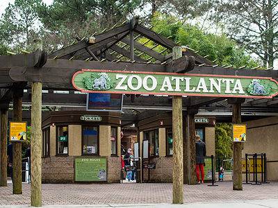 A Discover the 6 Best Zoos in Georgia (And the Ideal Time to Visit Each)