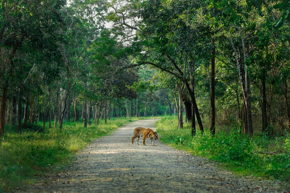 Nagarhole National Park