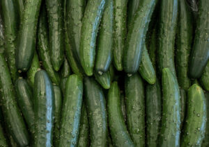 How to Grow Cucumbers: Your Complete Guide Picture