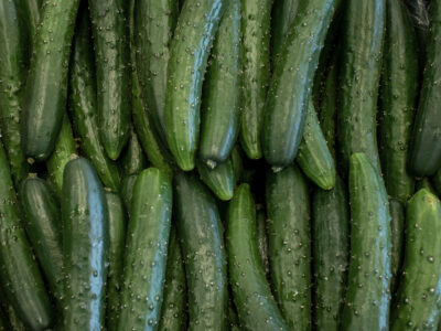 A How to Grow Cucumbers: Your Complete Guide