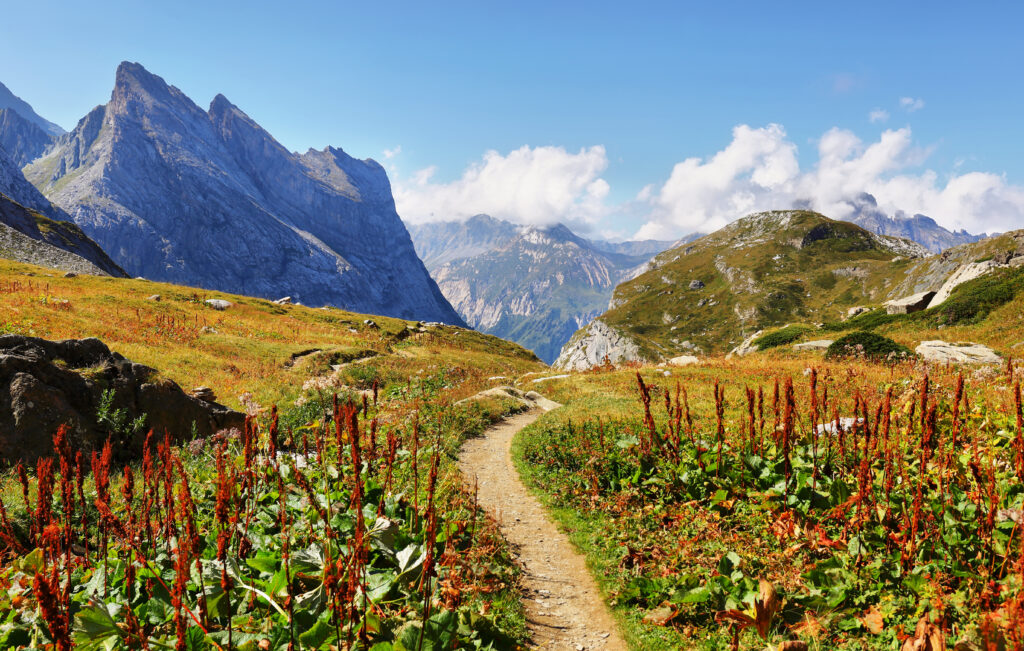 Vanoise national park of french alps, France