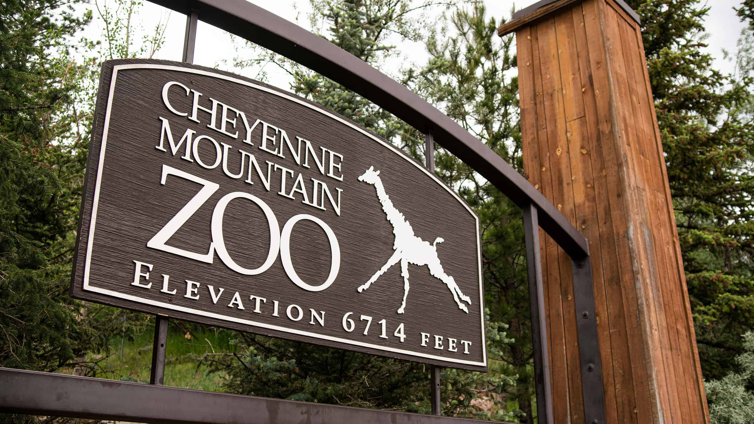 The Cheyenne Mountain Zoo is the highest zoo in the United States.