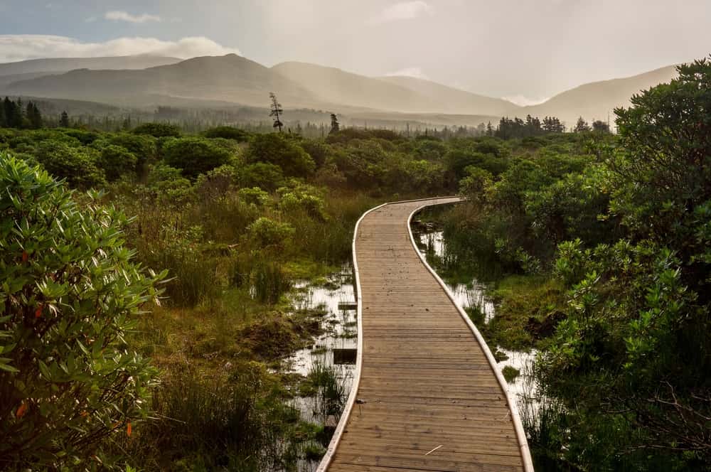 Wild Nephin National Park