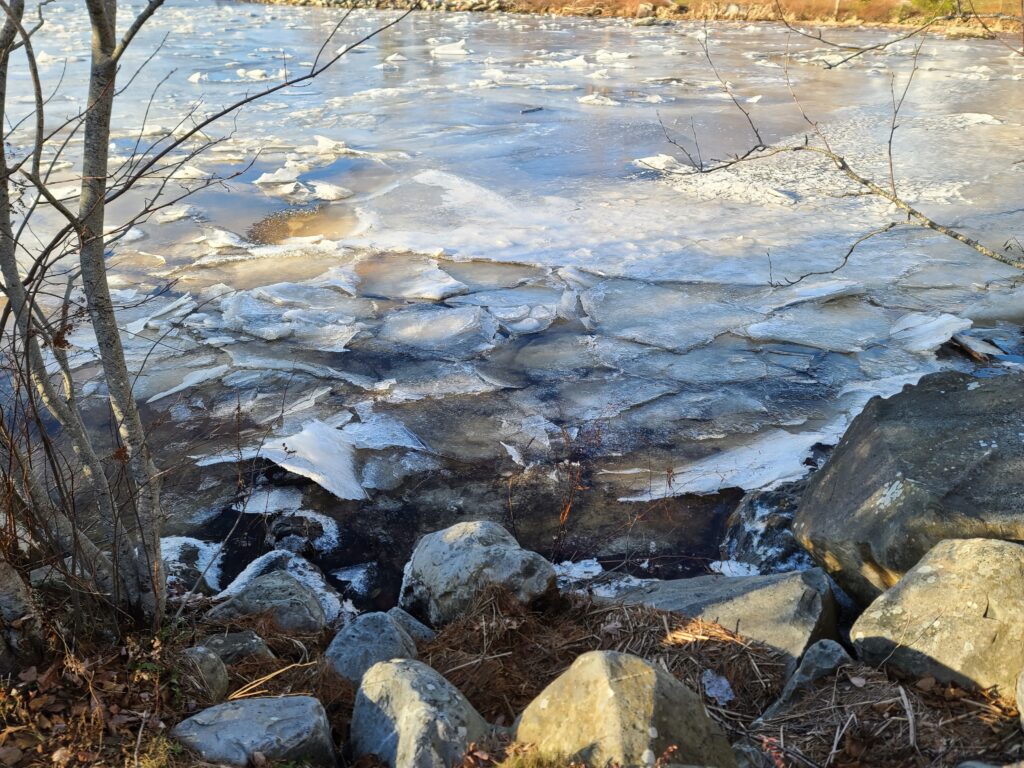 Edge of frozen pond
