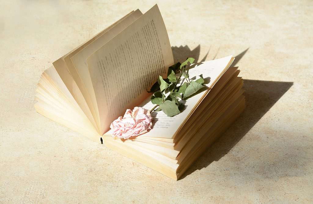 Book with beautiful dried rose