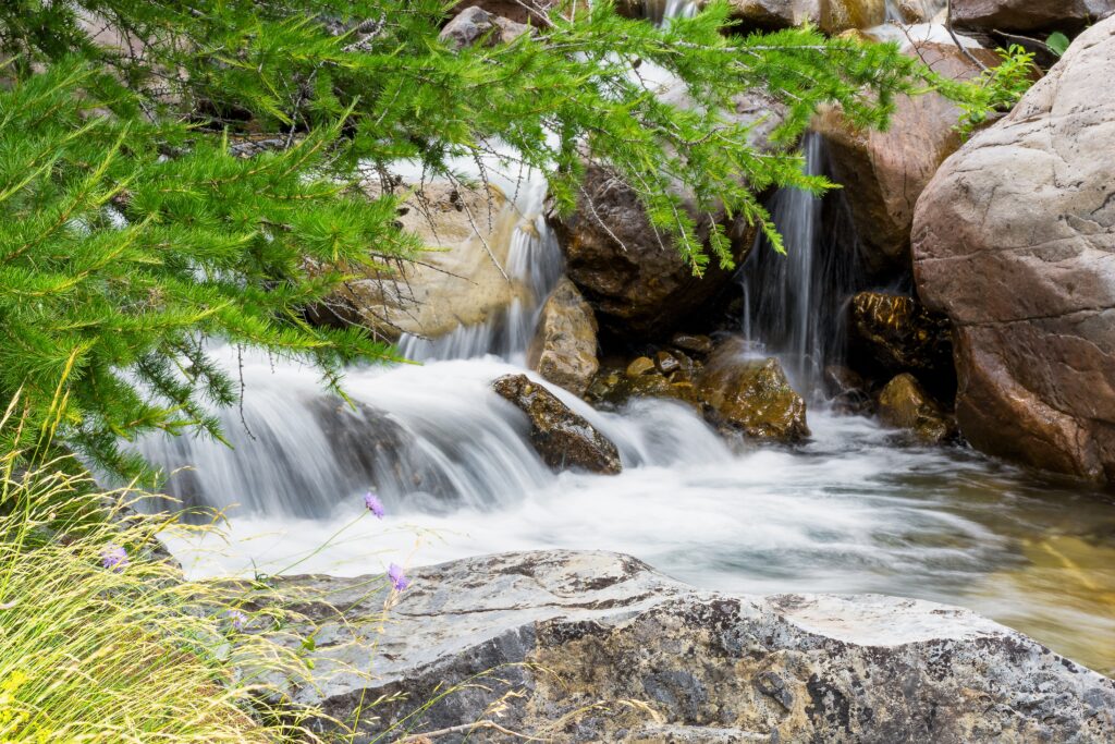 Forêts National Park