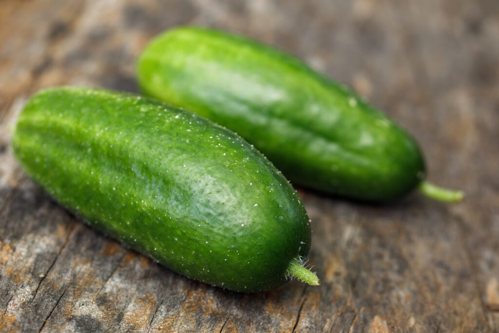 Muncher Cucumbers - Types of Cucumbers